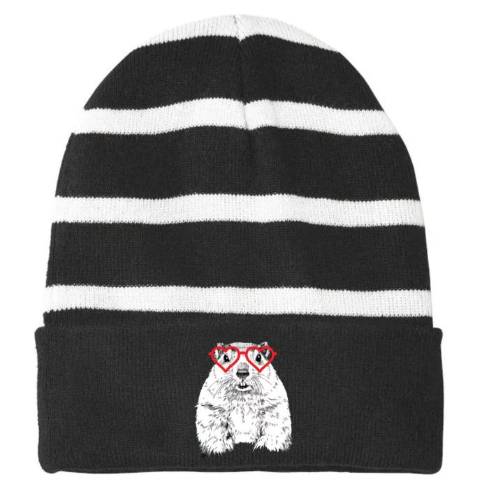 Groundhog Valentines Day Animal Lovers Striped Beanie with Solid Band