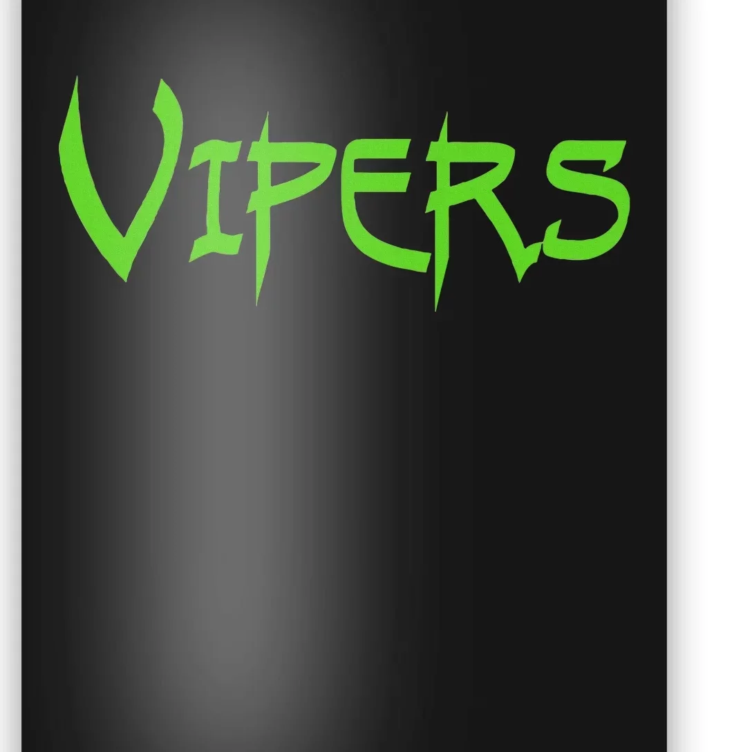 Go Vipers Football Baseball Basketball Cheer Team Fan Spirit Poster