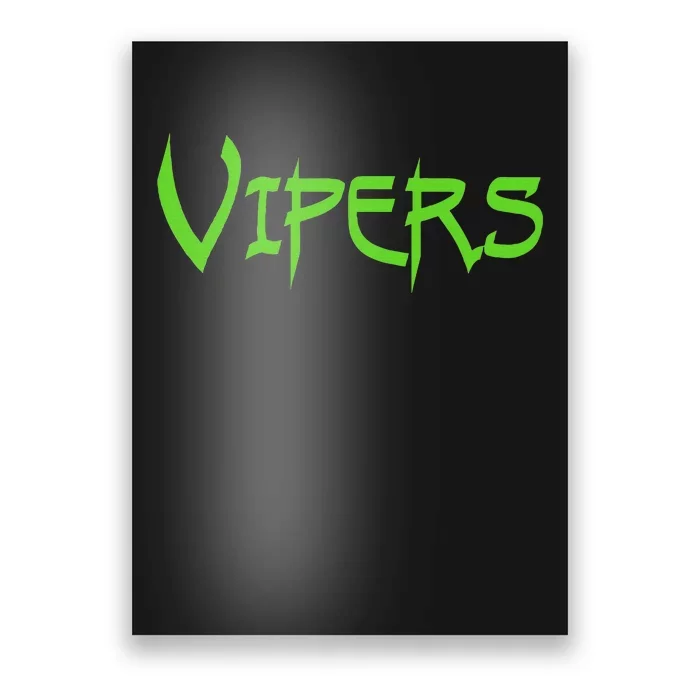 Go Vipers Football Baseball Basketball Cheer Team Fan Spirit Poster