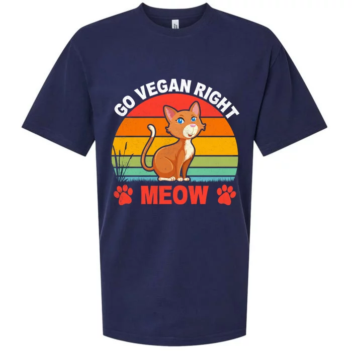 Go Vegan Right Meow Cute Gift Sueded Cloud Jersey T-Shirt