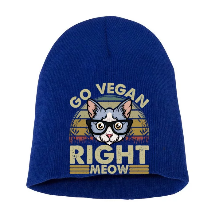 Go Vegan Right Meow Great Giftcat Lover Cute Gift Short Acrylic Beanie