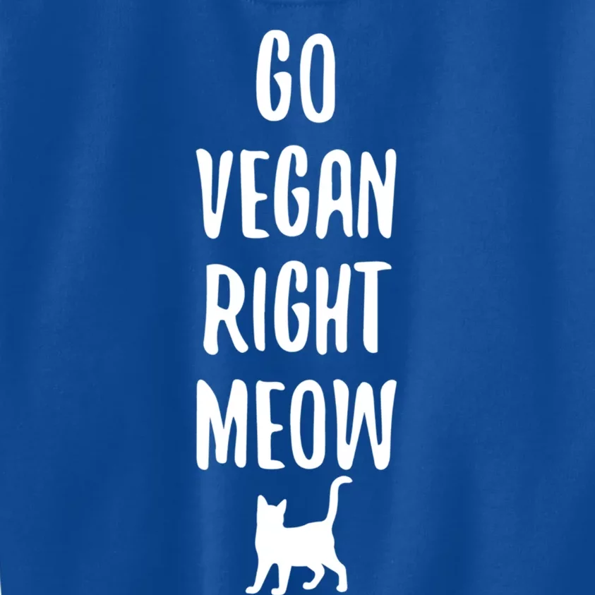 Go Vegan Right Meow Cat Lover Proud Plant Based Activist Gift Kids Sweatshirt