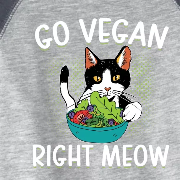 Go Vegan Right Meow Cat Vegan Vegetable Diet Cute Gift Toddler Fine Jersey T-Shirt