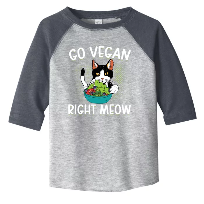 Go Vegan Right Meow Cat Vegan Vegetable Diet Cute Gift Toddler Fine Jersey T-Shirt