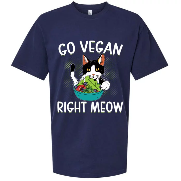 Go Vegan Right Meow Cat Vegan Vegetable Diet Cute Gift Sueded Cloud Jersey T-Shirt