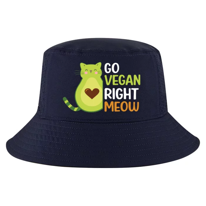 Go Vegan Right Meow Gift Cool Comfort Performance Bucket Hat