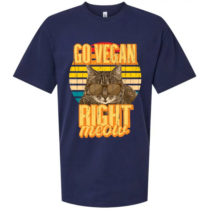 Go Vegan Right Meow Vegetarian Cool Gift Sueded Cloud Jersey T-Shirt