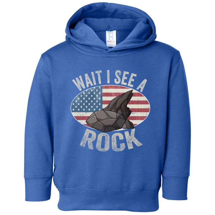 Geology Vintage Usa Flag Funny Geologist Sayings Gift Toddler Hoodie