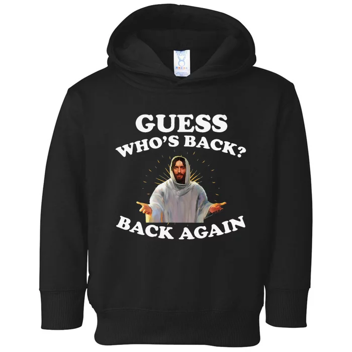 Guess Who's Back? Back Again Toddler Hoodie