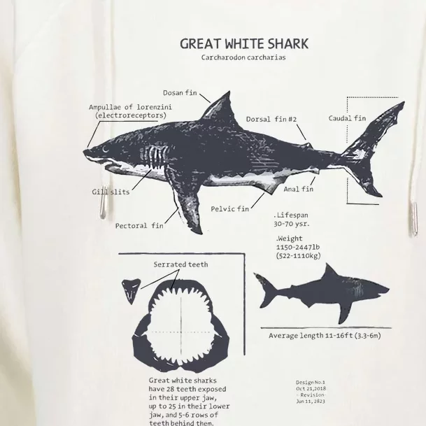 Great White Shark Anatomy Marine Biologist Womens Funnel Neck Pullover Hood