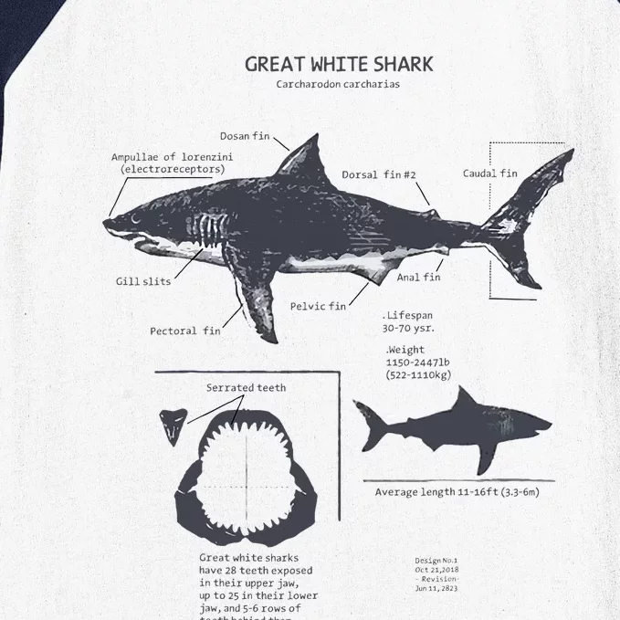 Great White Shark Anatomy Marine Biologist Baseball Sleeve Shirt