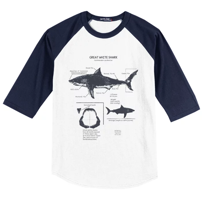 Great White Shark Anatomy Marine Biologist Baseball Sleeve Shirt