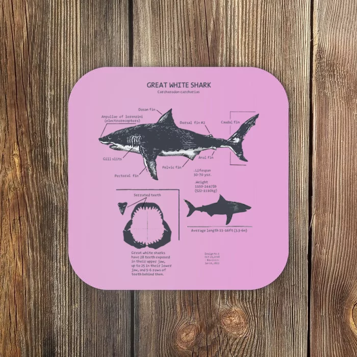 Great White Shark Anatomy Marine Biologist Coaster