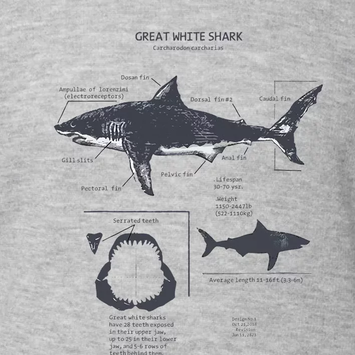 Great White Shark Anatomy Marine Biologist Toddler Sweatshirt