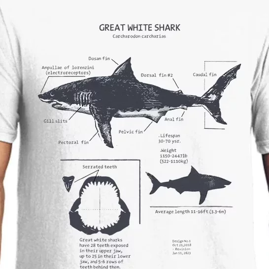 Great White Shark Anatomy Marine Biologist Pajama Set