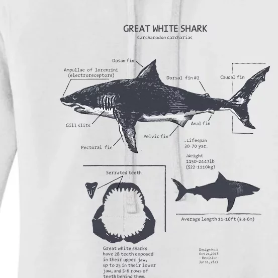 Great White Shark Anatomy Marine Biologist Women's Pullover Hoodie