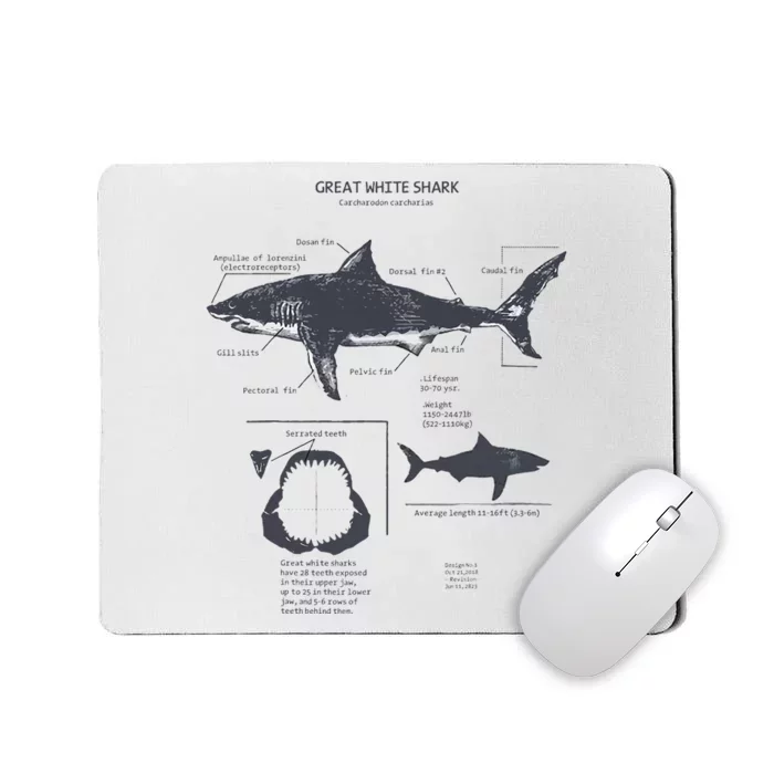 Great White Shark Anatomy Marine Biologist Mousepad