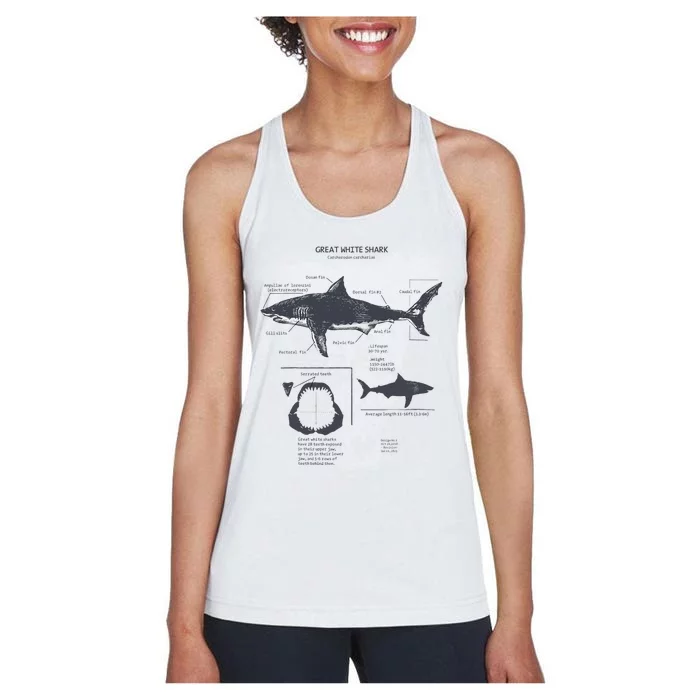 Great White Shark Anatomy Marine Biologist Women's Racerback Tank