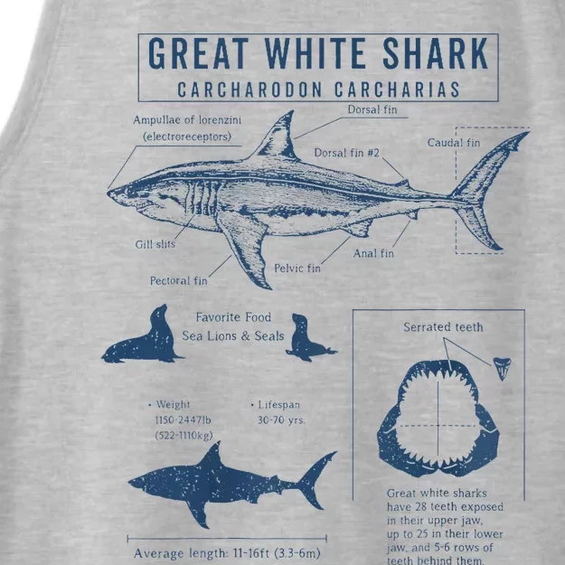 Great White Shark Anatomy  Marine Biologist Ladies Tri-Blend Wicking Tank