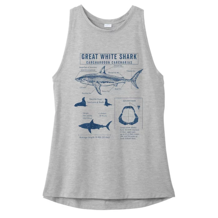 Great White Shark Anatomy  Marine Biologist Ladies Tri-Blend Wicking Tank