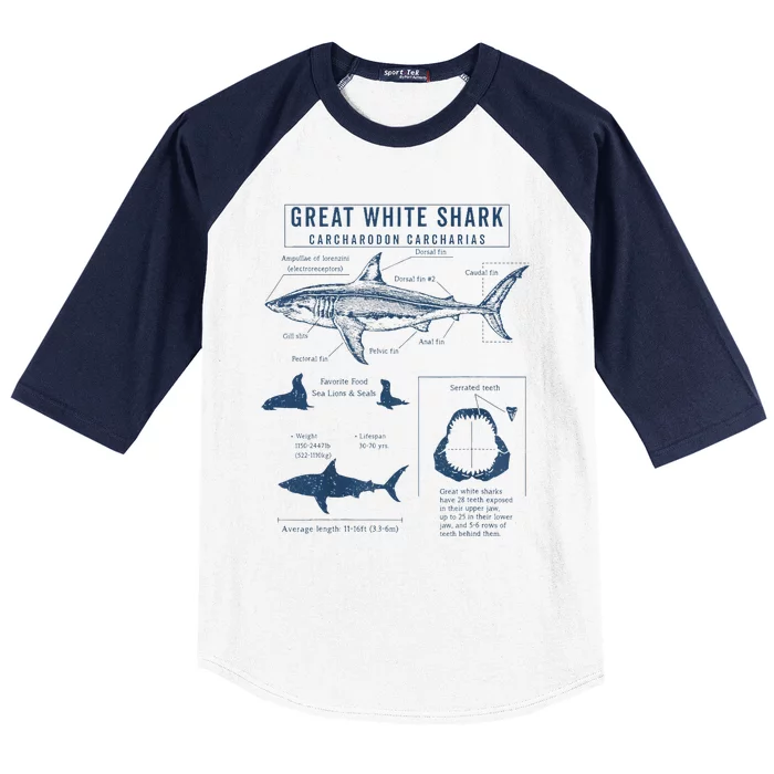 Great White Shark Anatomy  Marine Biologist Baseball Sleeve Shirt