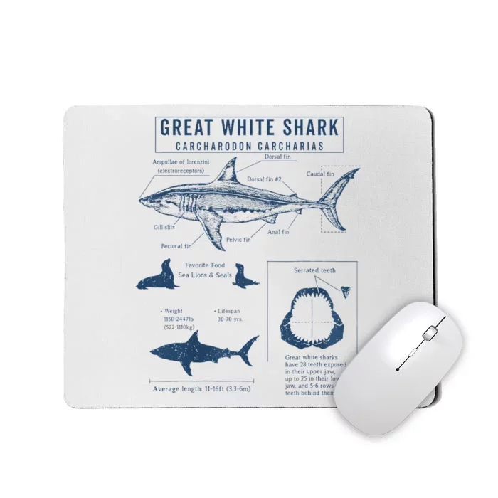 Great White Shark Anatomy  Marine Biologist Mousepad