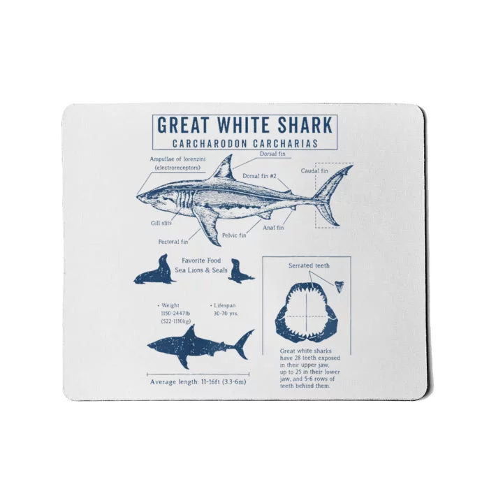 Great White Shark Anatomy  Marine Biologist Mousepad