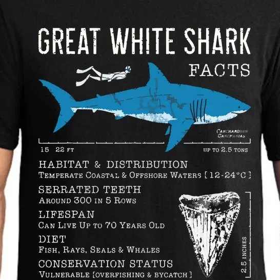 Great White Shark Facts Educational Shark Lover Sharks Tooth Pajama Set