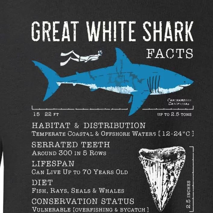 Great White Shark Facts Educational Shark Lover Sharks Tooth Toddler Sweatshirt