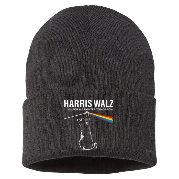 Harriswaltz 24 For A Brighter Tomorrow Funny Cat Rock Music Sustainable Knit Beanie