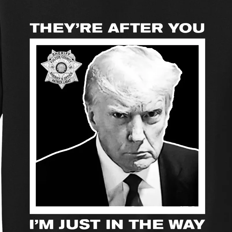 Howiecarrshow 2024 Trump Mugshot TheyRe After You IM Just In The Way Sweatshirt