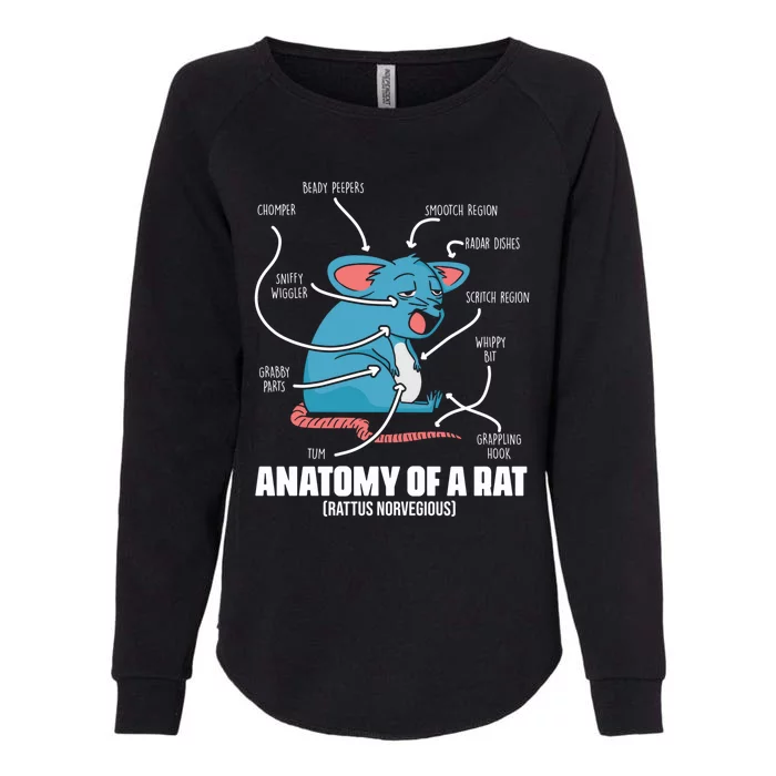 Humorous Animal Anatomy Rat Body Part For Rodent Lovers Meaningful Gift Womens California Wash Sweatshirt