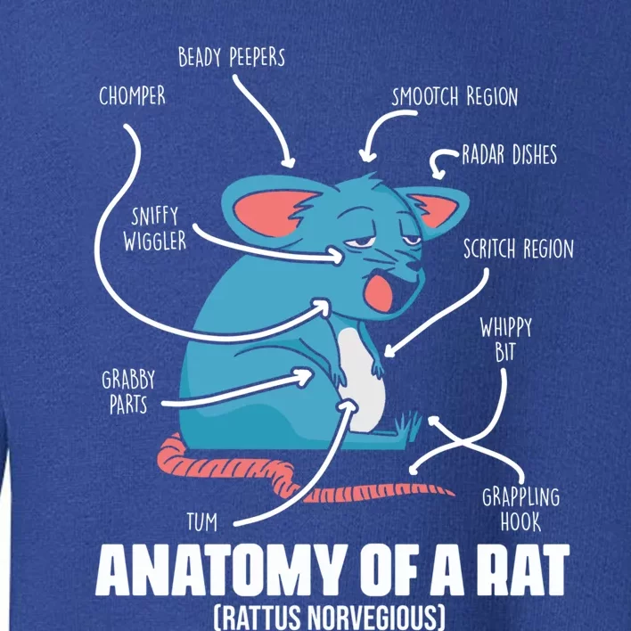 Humorous Animal Anatomy Rat Body Part For Rodent Lovers Meaningful Gift Toddler Sweatshirt