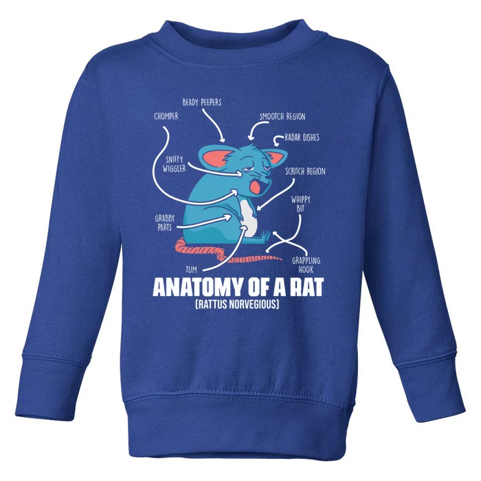 Humorous Animal Anatomy Rat Body Part For Rodent Lovers Meaningful Gift Toddler Sweatshirt