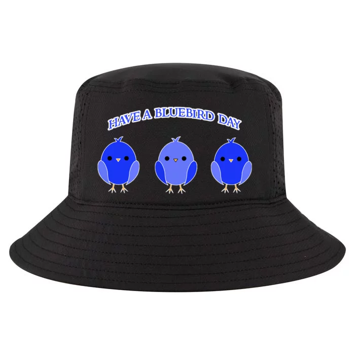 Have A Bluebird Day Blue Bird Happiness Gift Cool Comfort Performance Bucket Hat