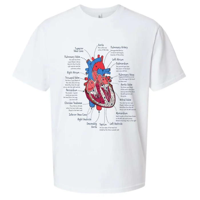 Heart Anatomy CVICU Nurse Cardiac Nurse Sueded Cloud Jersey T-Shirt