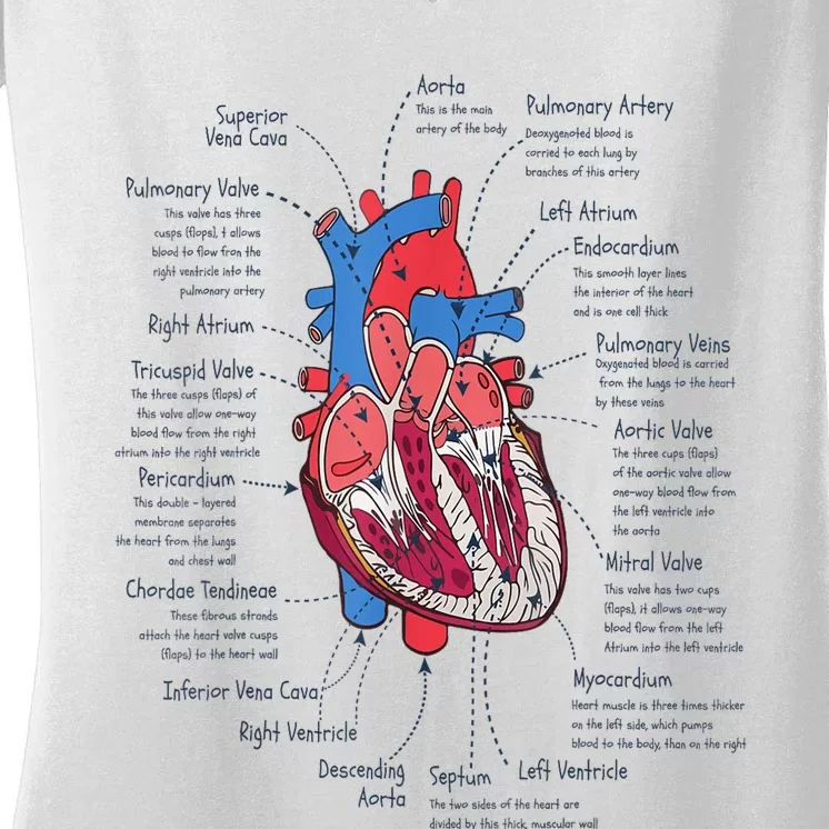 Heart Anatomy CVICU Nurse Cardiac Nurse Women's V-Neck T-Shirt