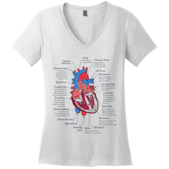 Heart Anatomy CVICU Nurse Cardiac Nurse Women's V-Neck T-Shirt