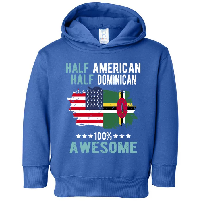 Half American Half Dominican Great Gift Toddler Hoodie