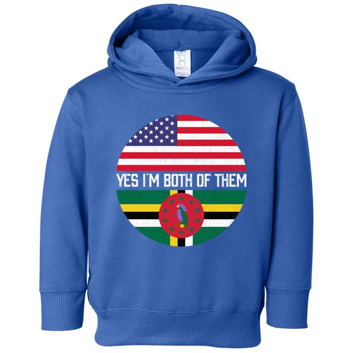 Half American Half Dominican Usa Flag Family Heritage Funny Gift Toddler Hoodie