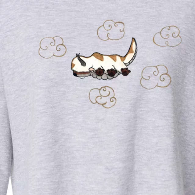 Happy Appa Cropped Pullover Crew