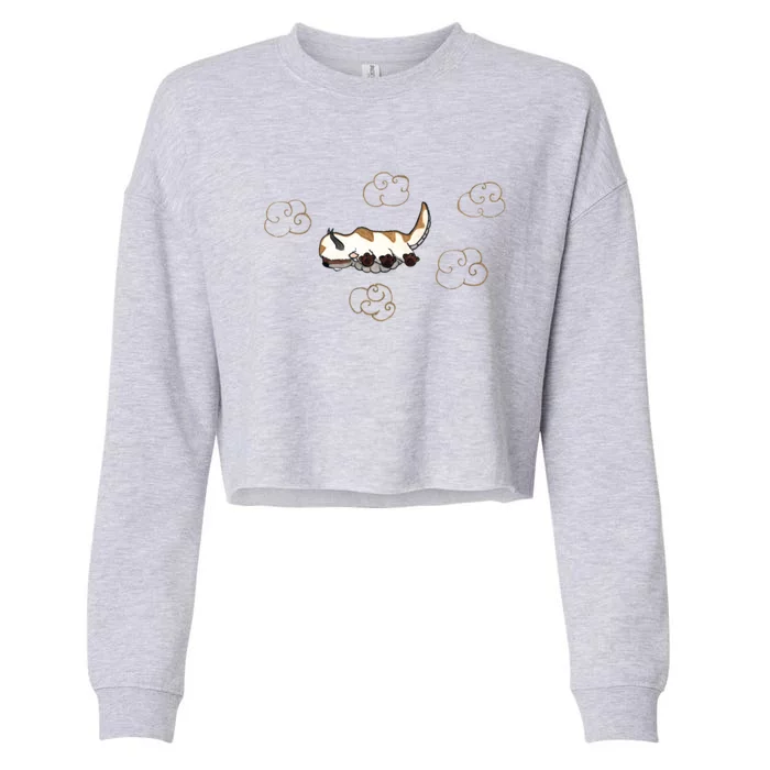 Happy Appa Cropped Pullover Crew