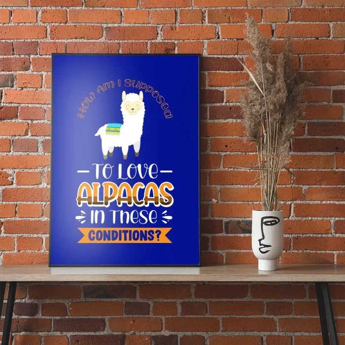 How Am I Supposed To Love Alpacas In These Conditions? Gift Poster