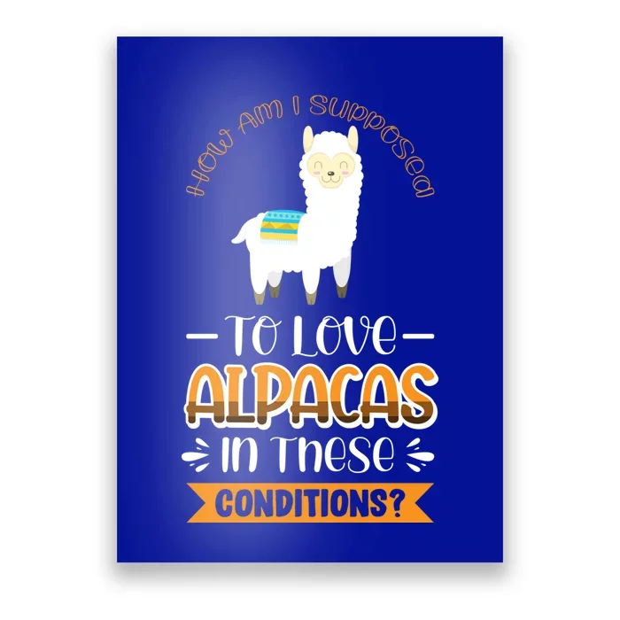 How Am I Supposed To Love Alpacas In These Conditions? Gift Poster