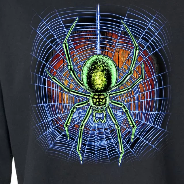 Halloween Spiderweb Creepy Spider Cropped Pullover Crew