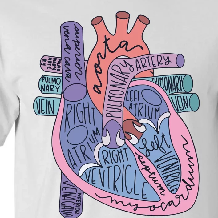 Heart Anatomy Nursing School Cardiologist Anatomical Heart Tall T-Shirt