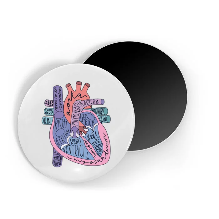 Heart Anatomy Nursing School Cardiologist Anatomical Heart Magnet