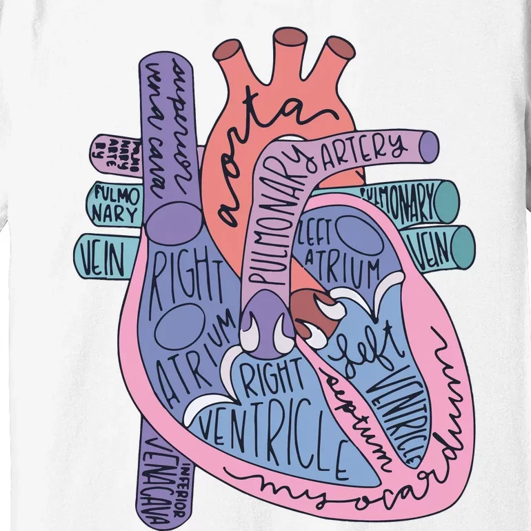 Heart Anatomy Nursing School Cardiologist Anatomical Heart Premium T-Shirt