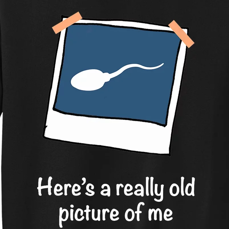 Here's A Really Old Picture Of Me Funny Sperm Gag Adult Sweatshirt