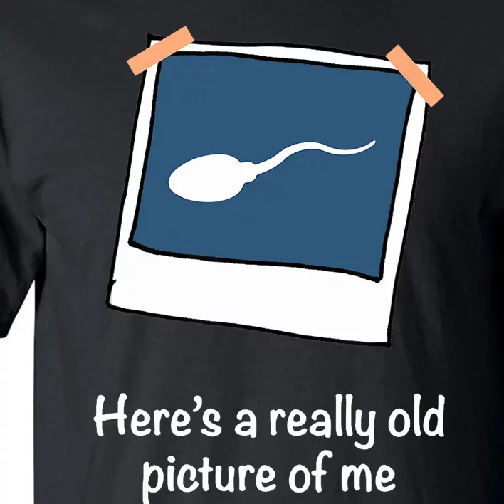 Here's A Really Old Picture Of Me Funny Sperm Gag Adult Tall T-Shirt